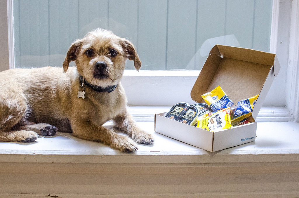 Find Top Free Pet Samples Get Free Samples Without Conditions